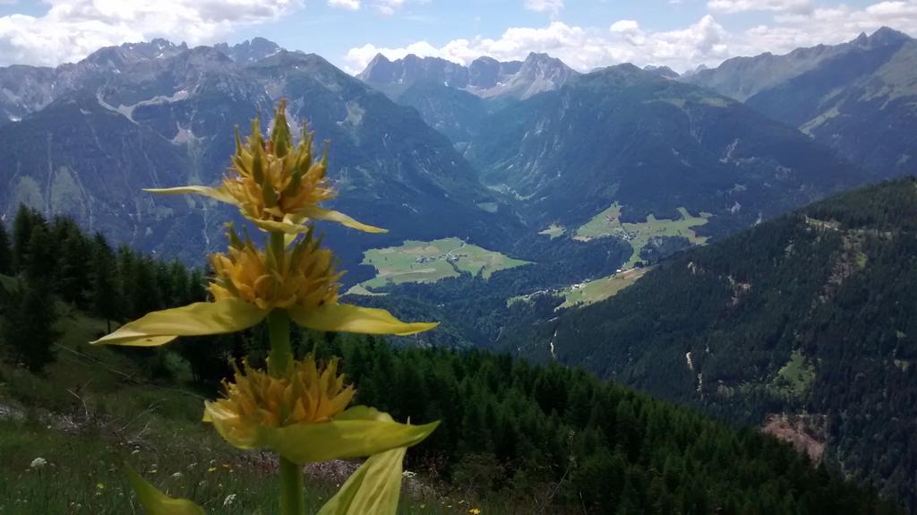 Gasthof Zum Loewen Sankt Jakob im Lesachtal Exterior foto